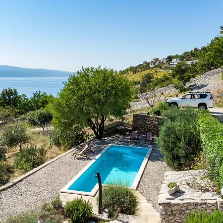 Dalmatian Stone With Heated Pool